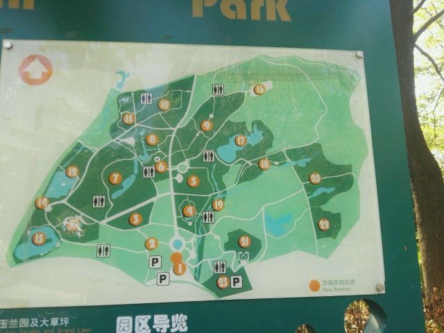 青岛中山公园
