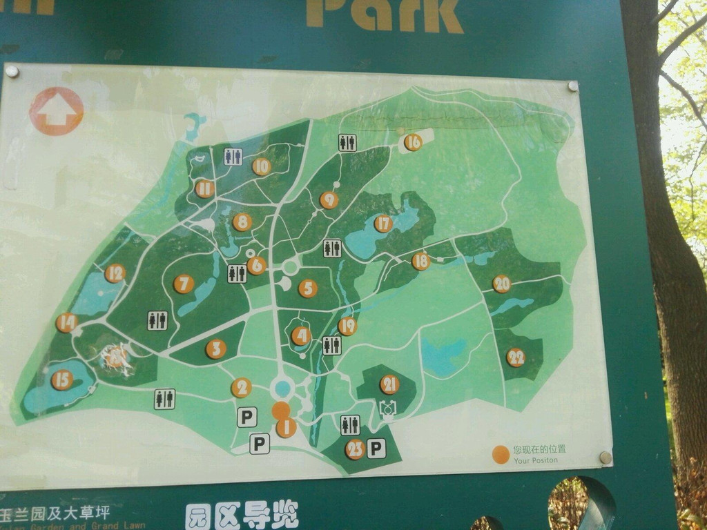 青岛中山公园                              