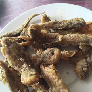 正定郝家电话王正定县店排骨/土豆/豆角/点评/菜系快地址焖面图片