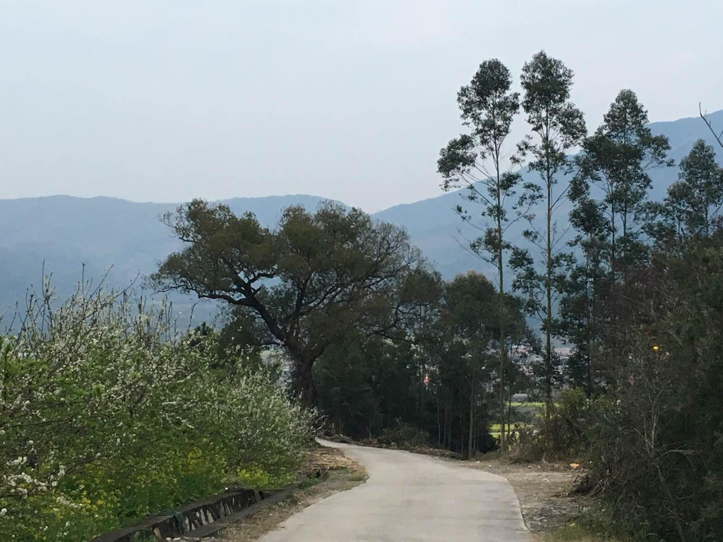 长泰山重村