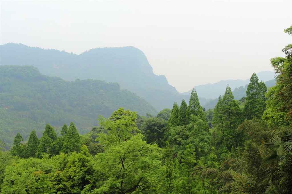 都江堰赵公山