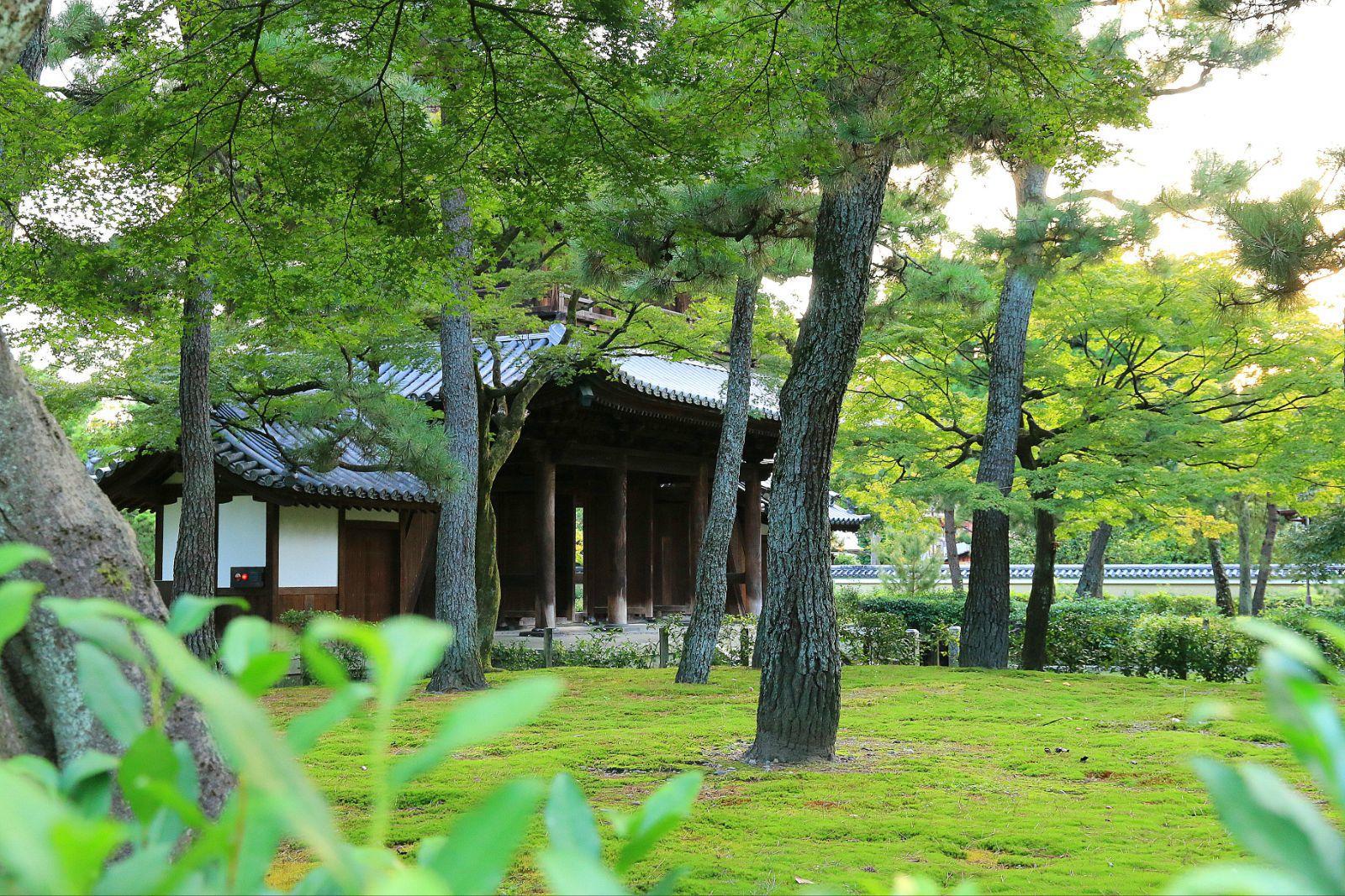 京都建仁寺