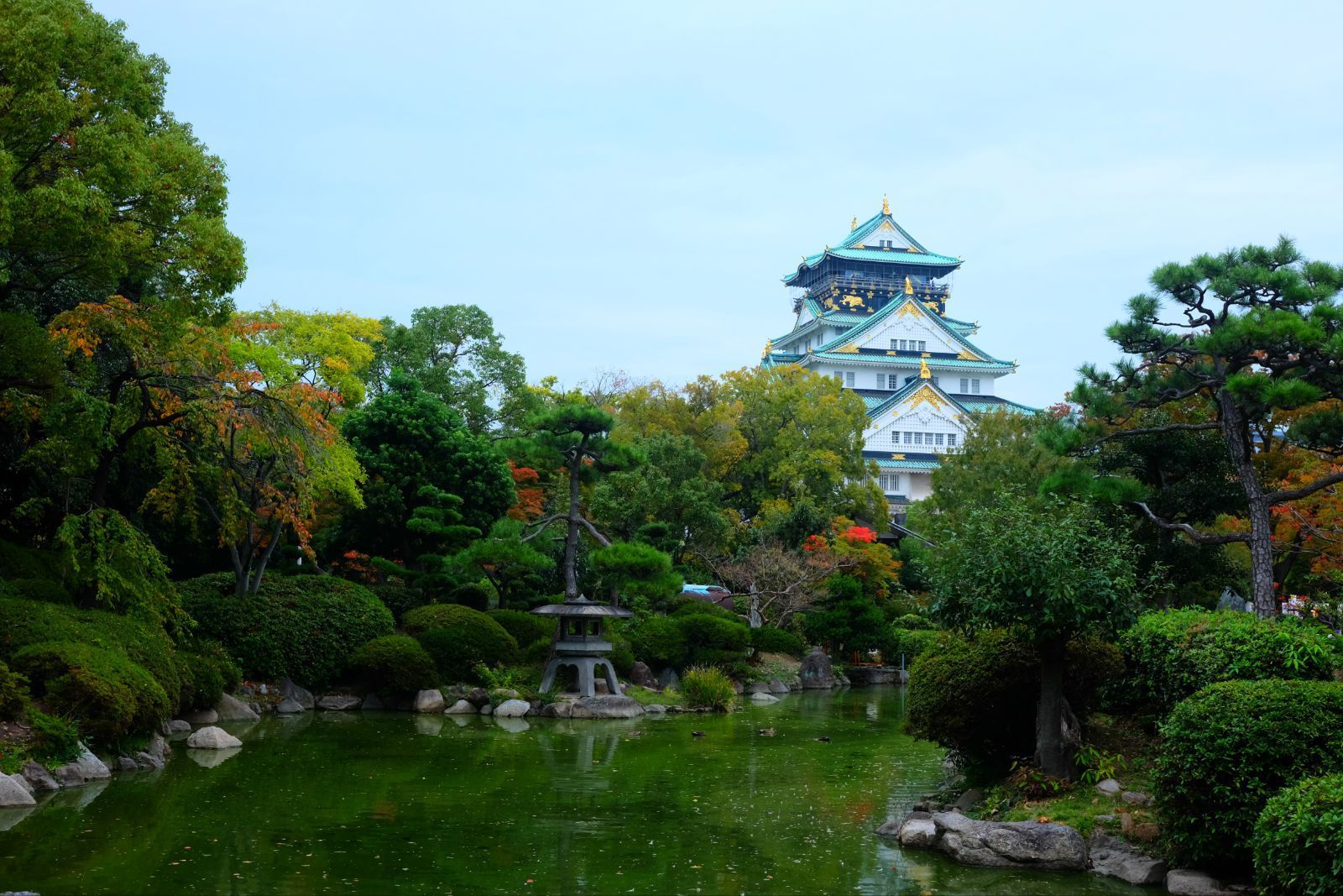 【大阪城公园】秋日的庭院,可惜少了几片飘零的红叶 上海-大阪