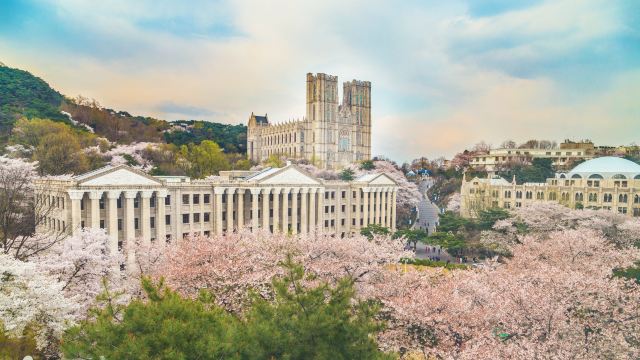 庆熙大学门票,首尔庆熙大学攻略/地址/图片/门票价格