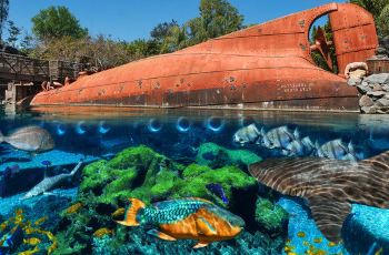 【携程攻略】迪士尼水上乐园门票,奥兰多迪士