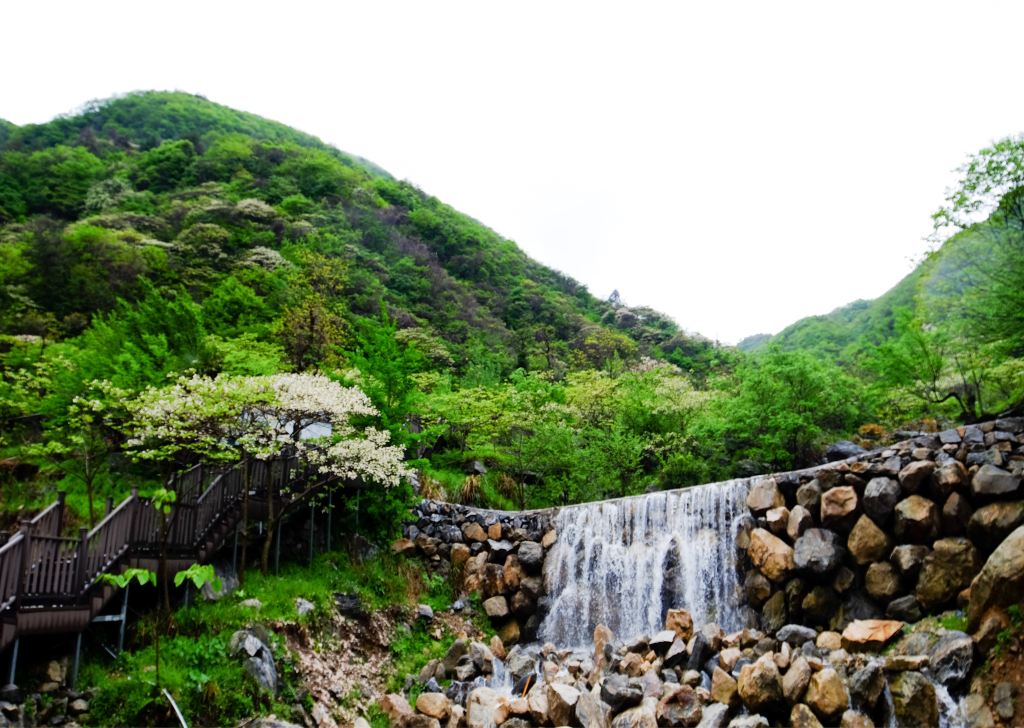 畅游"茶乡" 达人自驾游英山