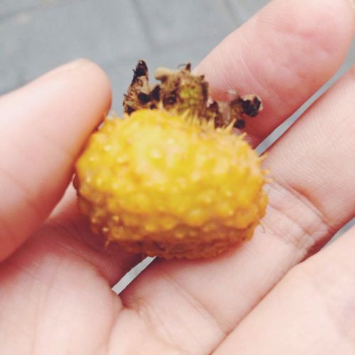 暑假贵州山水游玩攻略 在镇远古镇里走走看看