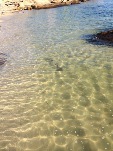 庙湾两日一夜自助游 - 珠海游记攻略