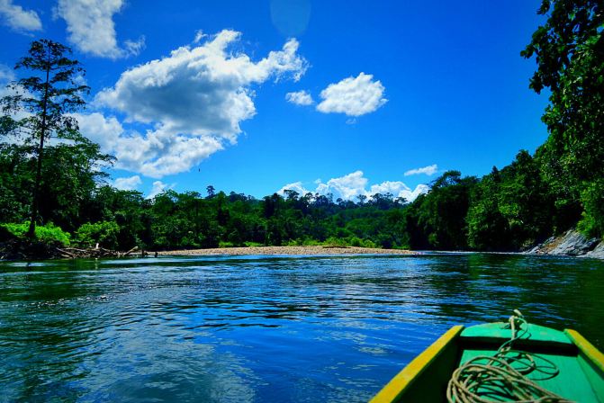 #随手拍#文莱Ulu Temburong国家森林公园 - 辽