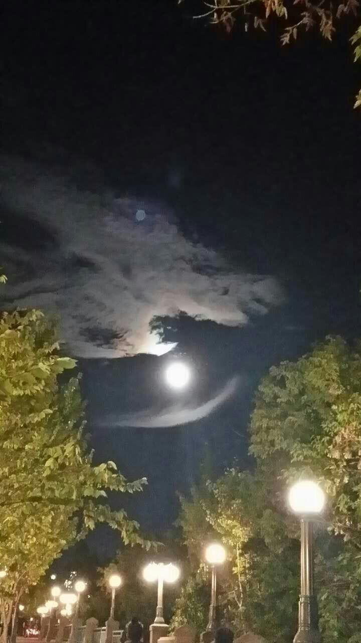 这一个秋天,赴一场北美之约,与你们!