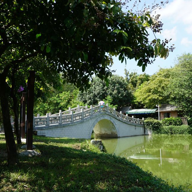 仙女湖 景区很大,导游带我们沿"仙女湖"行走,路线是:北门—水中林趣