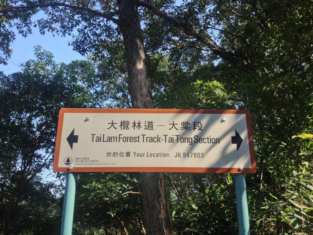到元朗大棠,赏红叶,游水塘,看日落