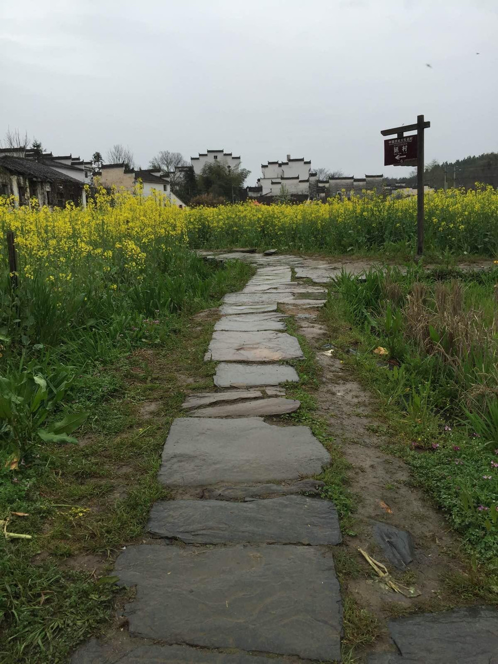 婺里看花,徽派乡村——游走婺源