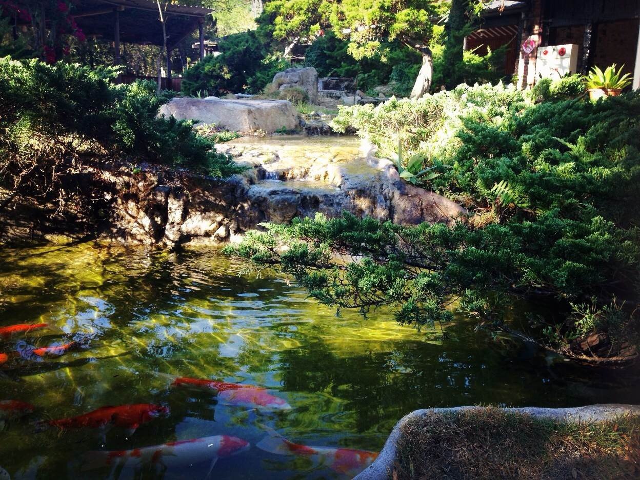 每次看美食节目、台湾综艺、户外探险,都无数次妄想着要怎样怎样台湾游才是最好。功课做了好多,但真到了 说走就走的这天 才发现攻略什么纸上谈兵的东西通通失效,走出去、最重要的都归结到了「看心情」三个字上。象我这种随遇而安的闲散人员、恨不得融入当地载歌载舞、一早就把攻略丢在机场了。 台湾是个适合全年旅游有着亚热带季风兼具温带海洋性气候的温暖岛屿。但我感觉 10月中下旬到11月来台更为优越。此时极端天气较少、避开了高温酷暑、不常有连绵阴雨、也不会动不动就台风巨浪。唯一需要担心的大概就是大大小小若有似无的地震了。不