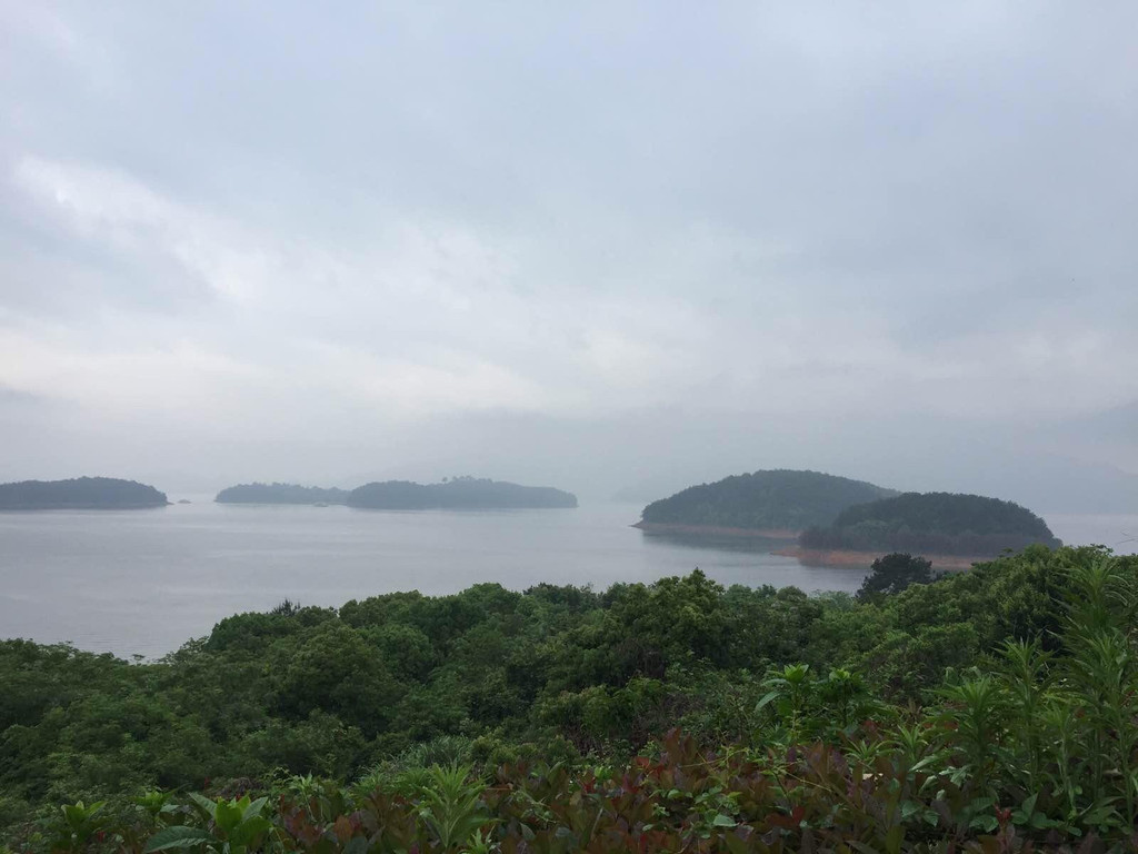 最近发现千岛湖不错,那里什么时候去最好呢,那里有什么特色美食或者是特色街道、餐馆?