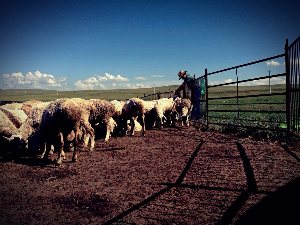 内蒙古 inner mongolia