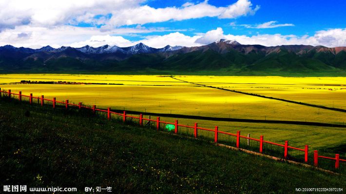 西部包车旅游高端私人定制--洪峰旅行 - 青海湖