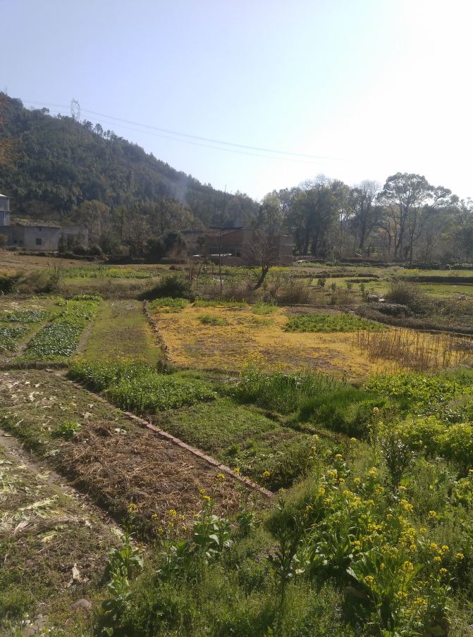 春暖花开,探访灵田大山中隐藏的美景《水帘洞