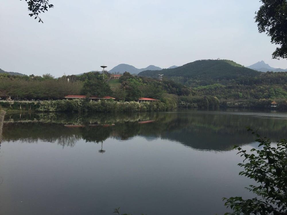 梅州雁鸣湖旅游度假村