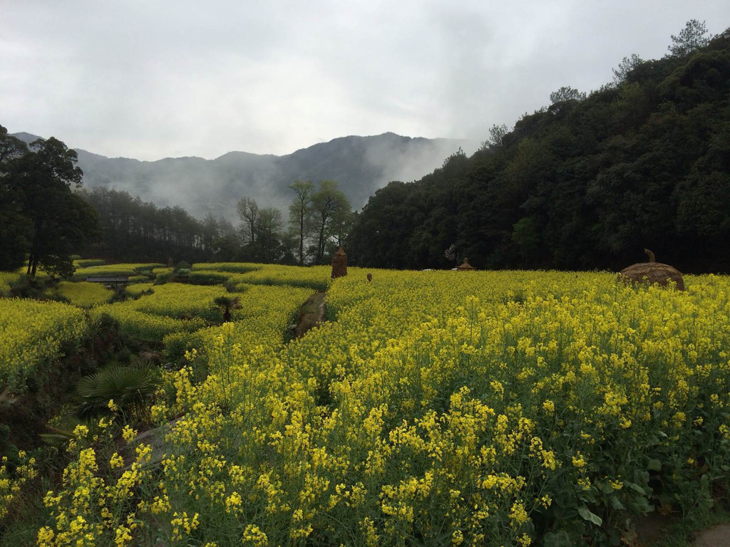 江岭景区