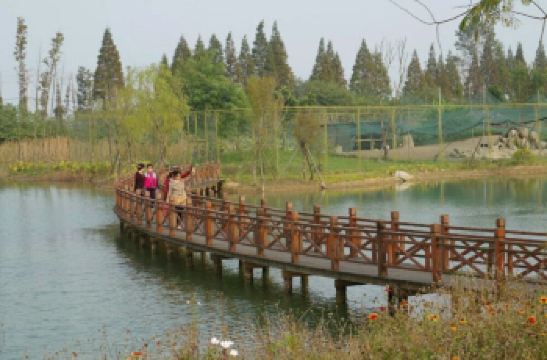 泗洪洪泽湖湿地公园_泗洪湿地公园门票收入