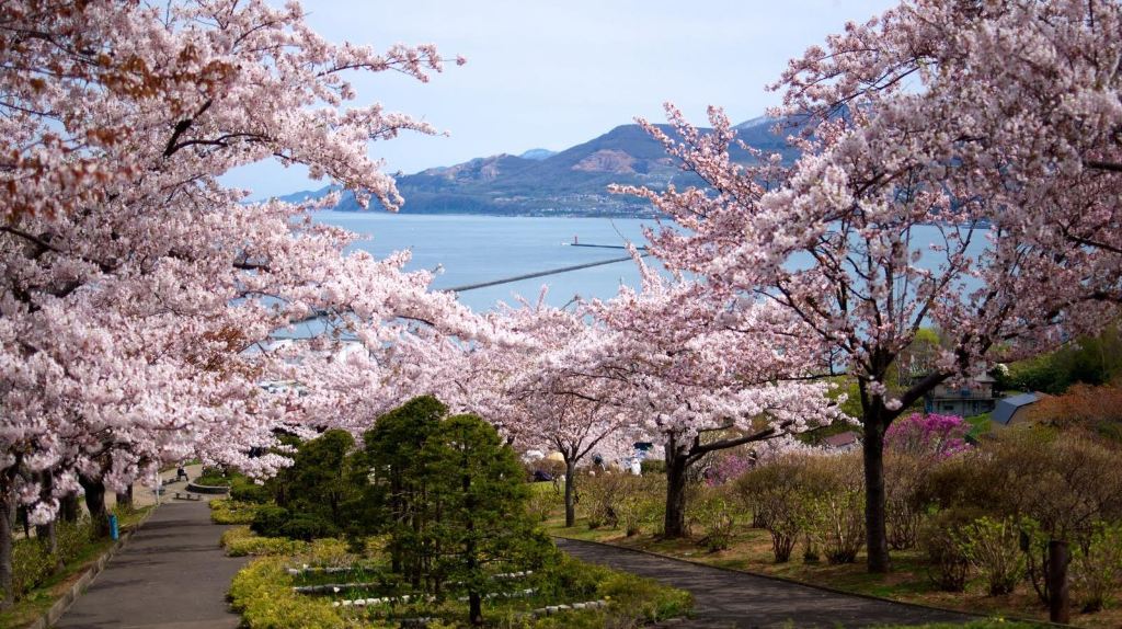 日本东京 北海道 富士山7日6晚跟团游·赏樱线路 1天自由活动 2晚日式