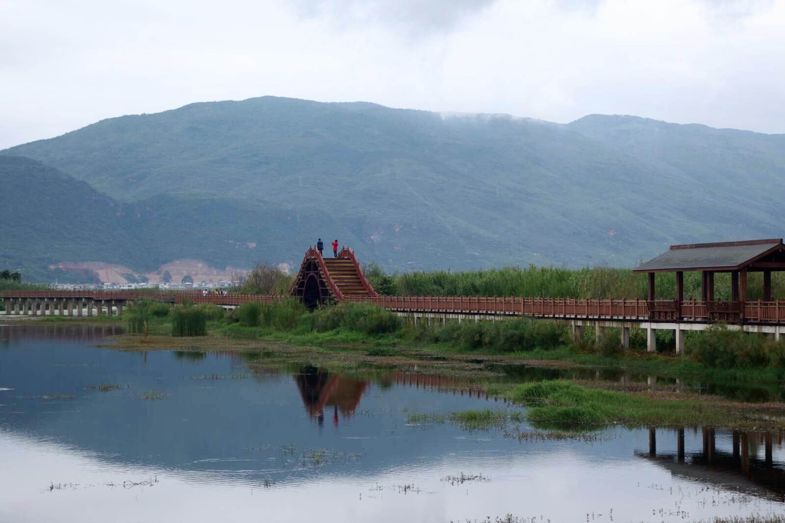 异龙湖湿地公园