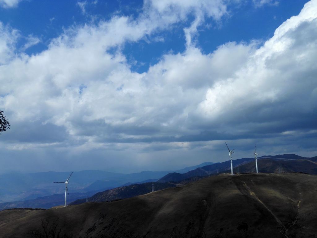 大理3月,车行马耳山(探访杜鹃森林)