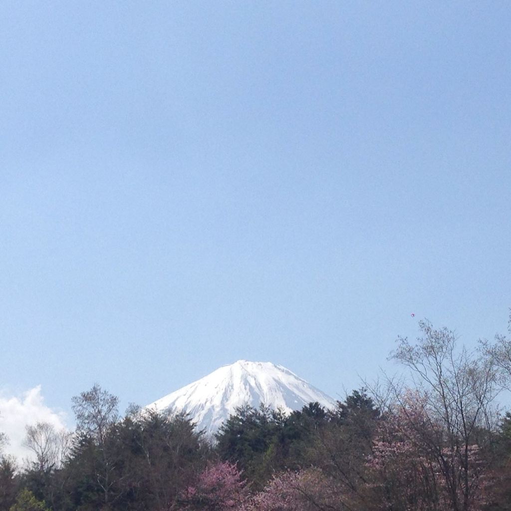 自驾游世界之日本中部名古屋-下吕-高山-上高地-松本-富士山 5日樱花