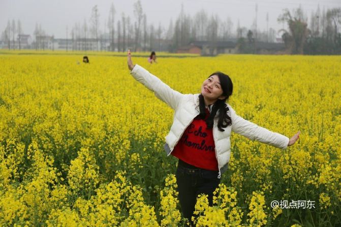 2016汉中油菜花节启幕 3条精品线路供游客选择(组图)