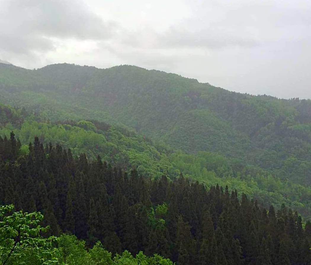 偏头山森林公园有六大景区:偏头山景区,龙泉洞景区,孔家凸景区,东西标