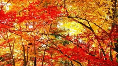 北京射击馆门票多少钱_北京射击馆门票价格_