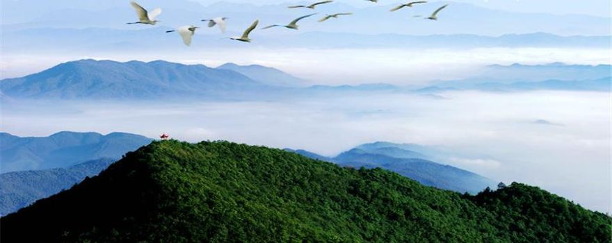 崇义旅游攻略