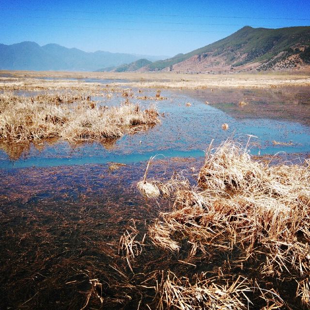 这个季节的草海显然还没有长成青绿色,小伙子告诉我们五月份的时候