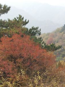【携程攻略】阳泉翠枫山自然风景区图片,阳泉翠枫山区