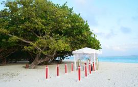 马尔代夫蜜月岛天气预报,历史气温,旅游指数,蜜
