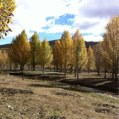 9月29丹巴、稻城亚丁拼车7日游,需找结伴友。