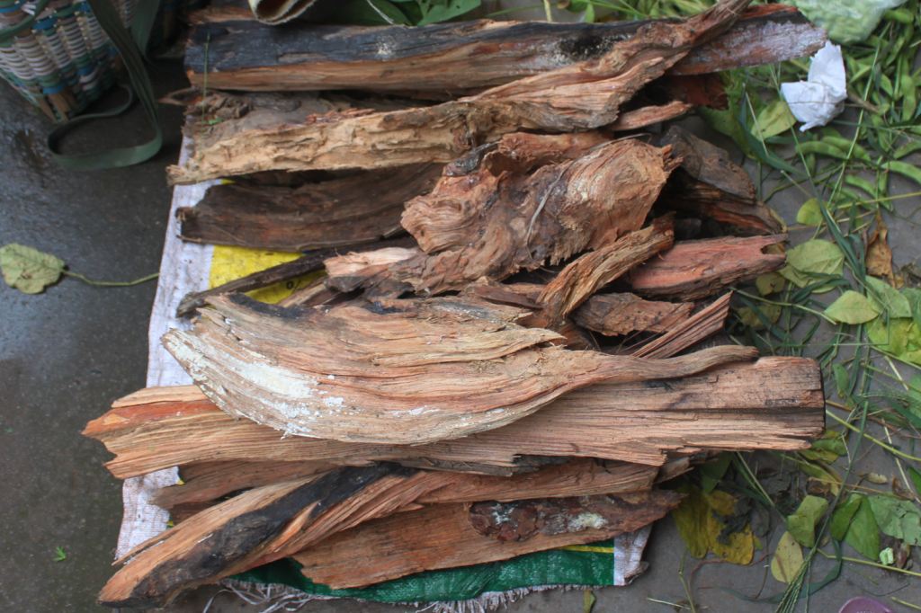 叫松明又叫松明子