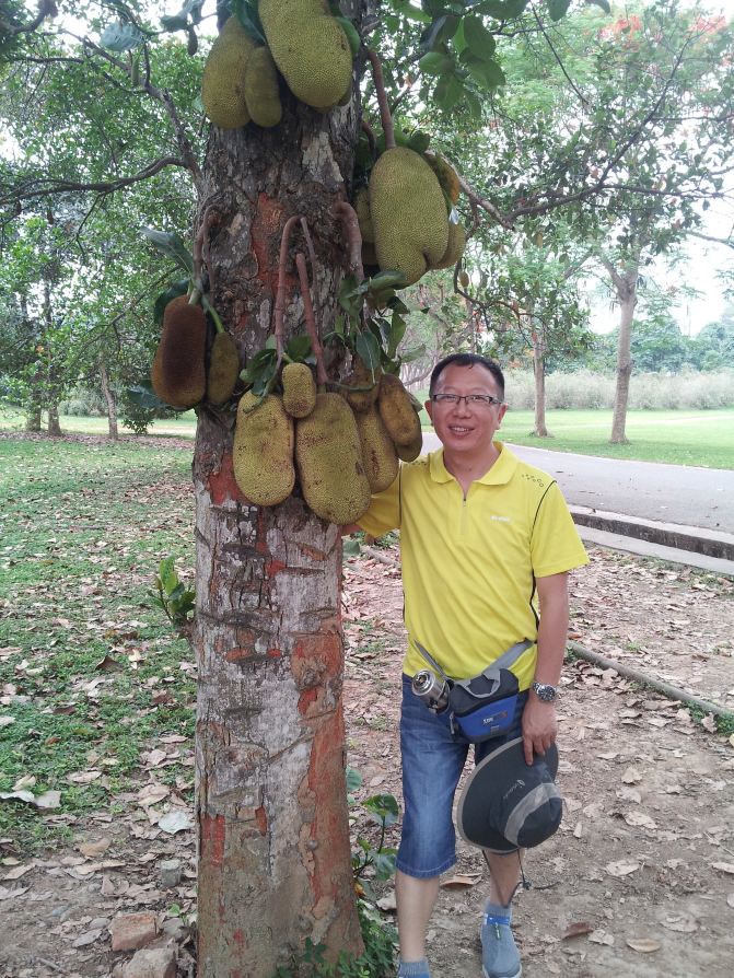 陪父母畅游版纳 - 西双版纳游记攻略