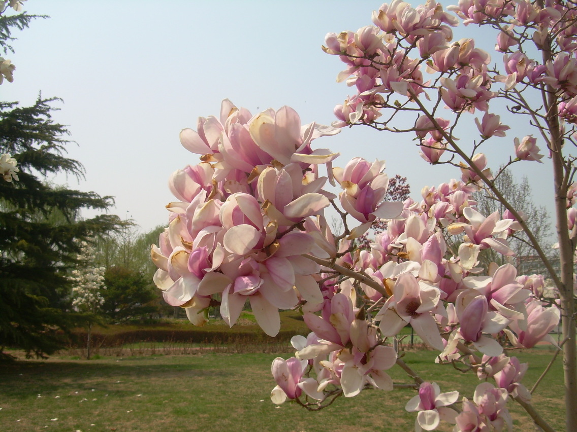 4 2 3 5 8 9 Ka 4 2 3 5 8 9 Ka