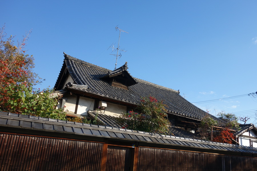 京都-祗园&花见小路