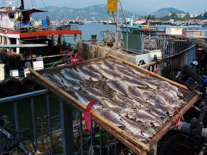 深圳罗湖口岸出发香港离岛自由行详细图文攻略