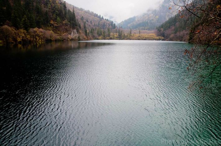 +我拍过九寨沟,吉隆坡,西宁,芽庄,成都,巴厘岛,elon图片