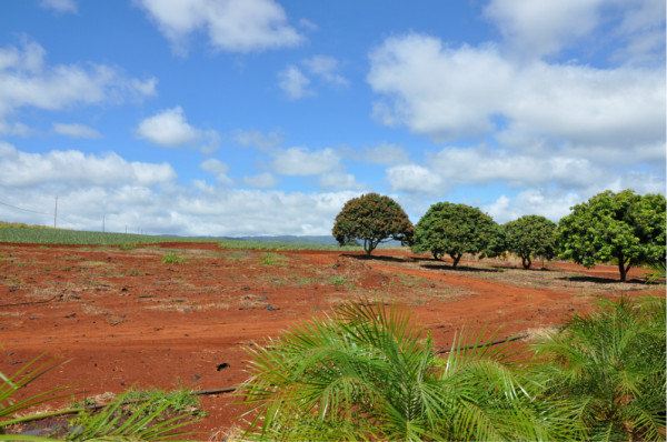情侣夏威夷8日浪漫小资海滨度假游,附美国签证