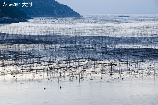 【加游站】行摄霞浦,寻找中国最美的滩涂.