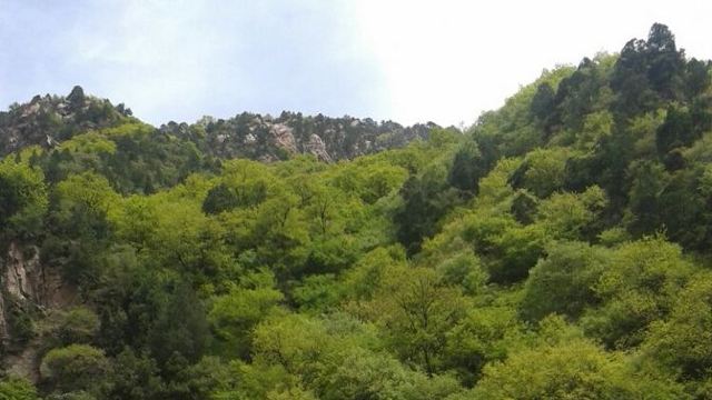 九龙山生态旅游风景区