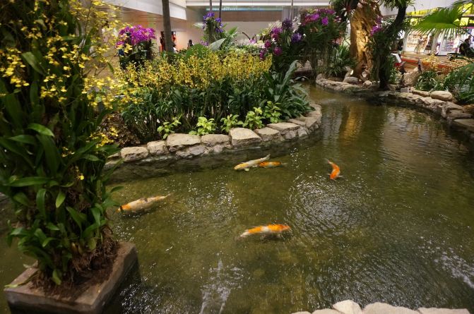 亲子游斯里兰卡8日7晚自由行实用攻略 - 斯里兰