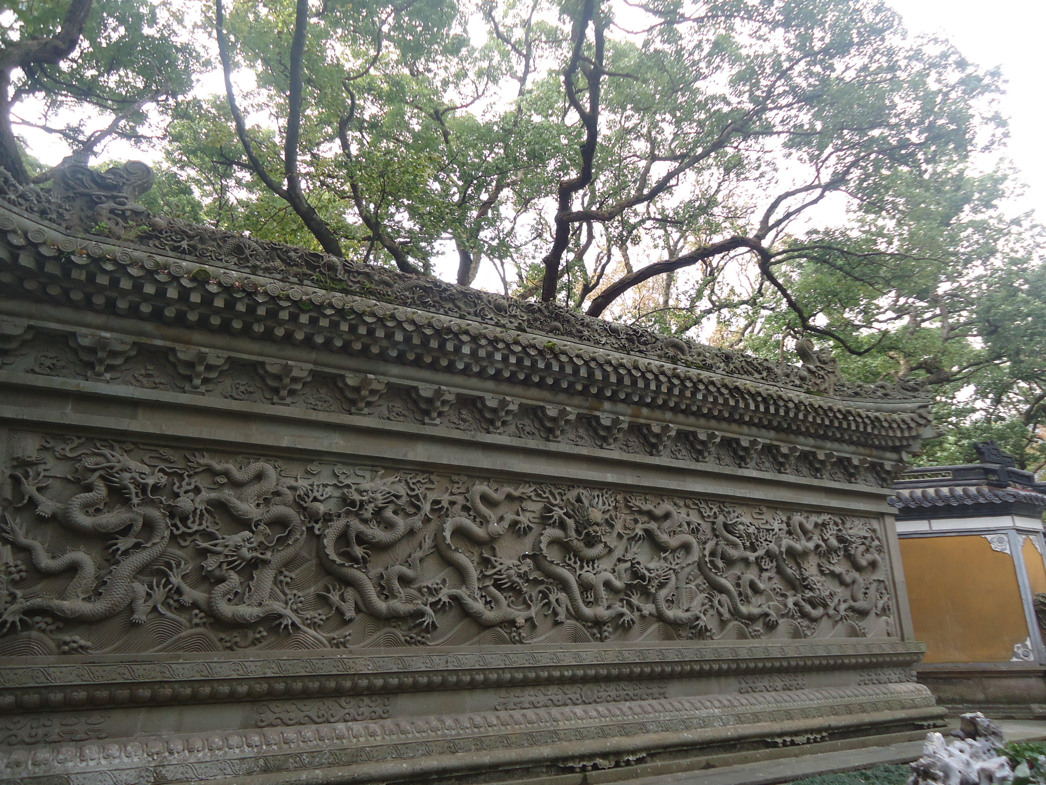 随手拍之普陀法雨九龙壁