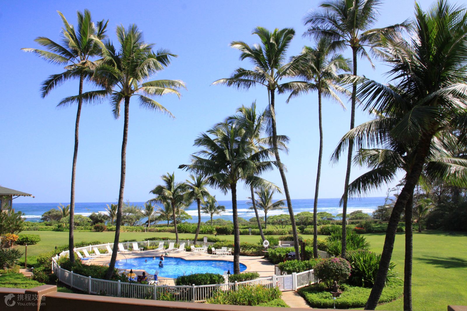 美国+夏威夷1+洛杉矶+拉斯维加斯+华盛顿+费