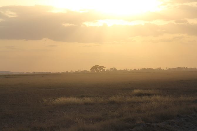 梦里依稀是他乡--肯尼亚行记(三)安博塞利篇之
